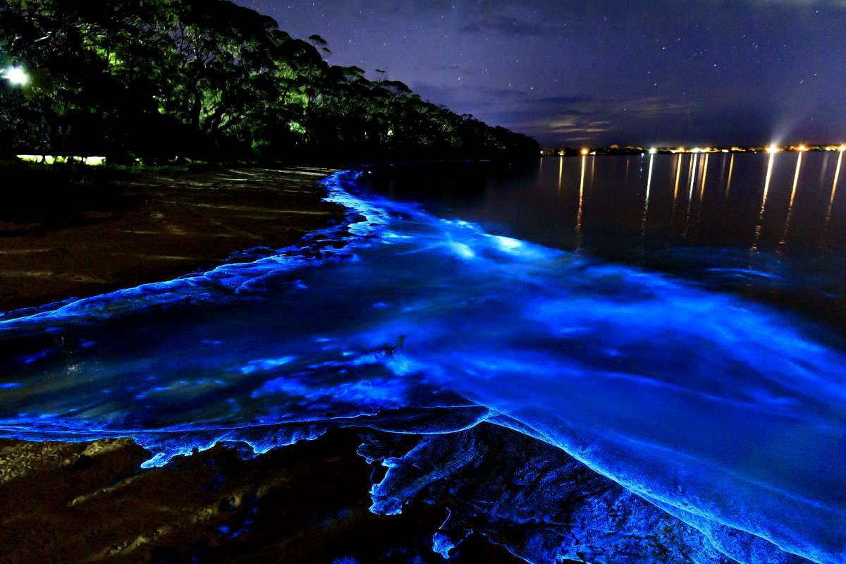 https://0201.nccdn.net/4_2/000/000/048/4f7/mexico_playas_bioluminiscencia2-puerto-escondido.png