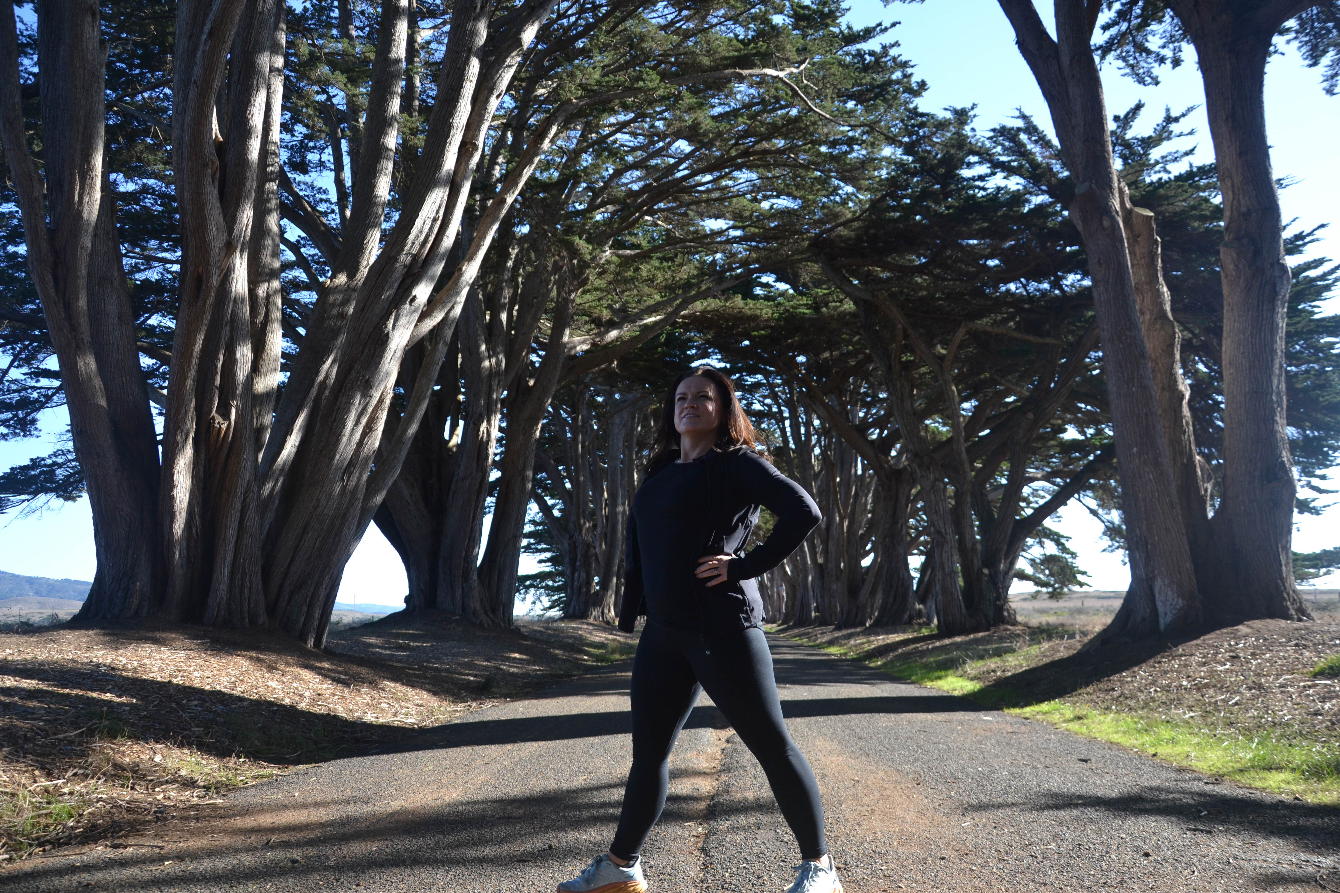 https://0201.nccdn.net/4_2/000/000/048/4f7/san-fran-order-2-113.jpg