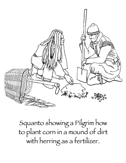 Thanksgiving Native American Wampanoag and Pilgrim coloring page with corn beans and squash three sisters from many hoops