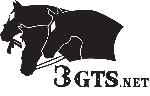 3 Gems Tack & Stables - Lesson Rates