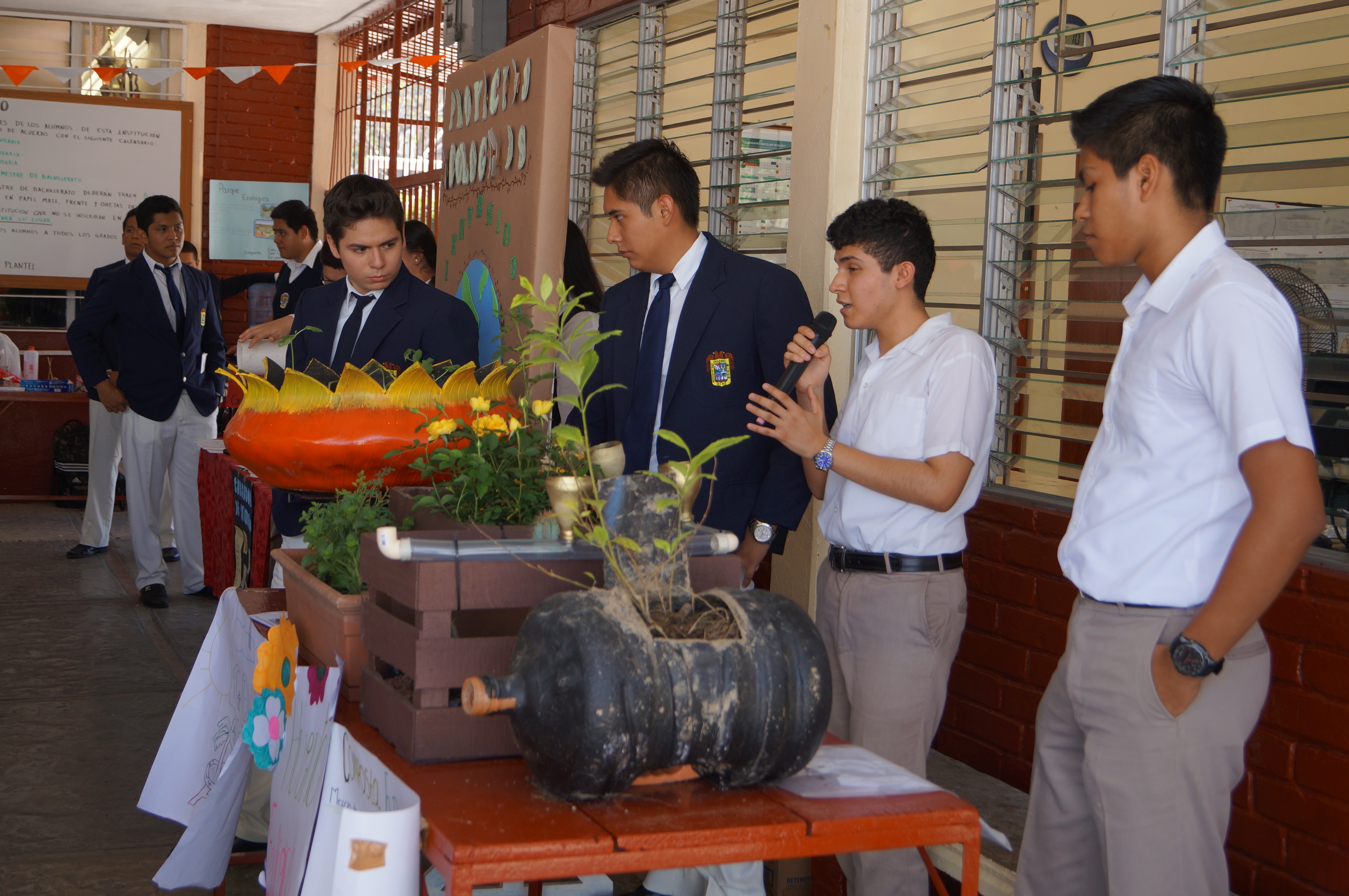 PROYECTOS ECOLÓGICOS
22 DE JUNIO DEL 2017