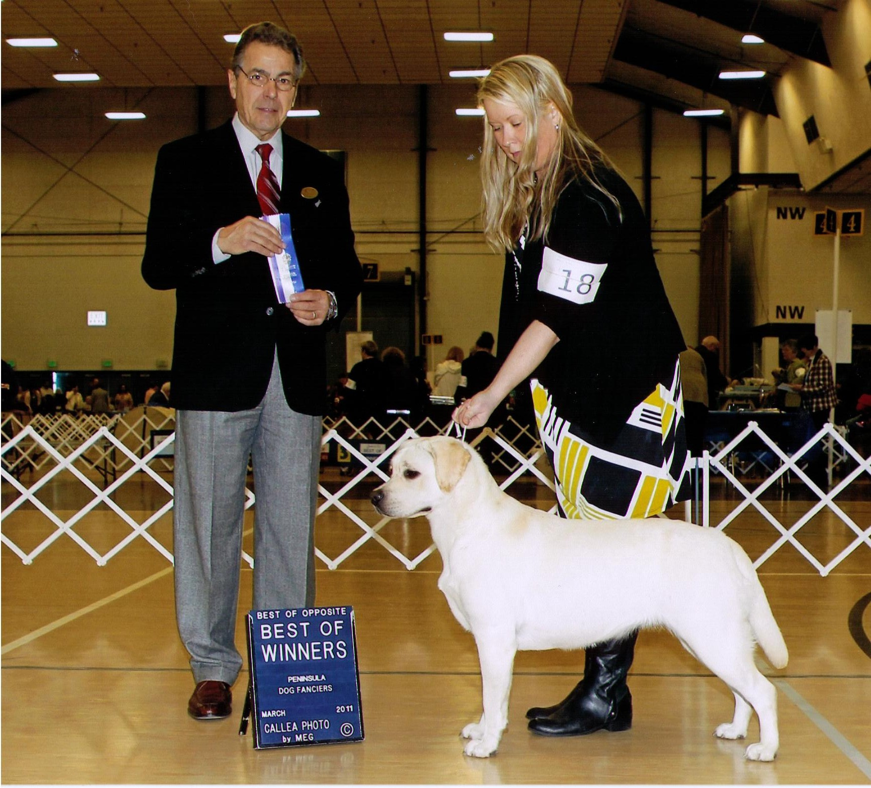 L'Una
Best of Winners, Peninsula Dog Show
3/2011