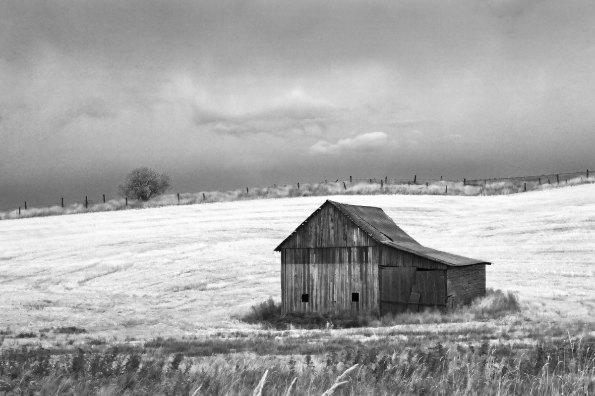Palouse Shack