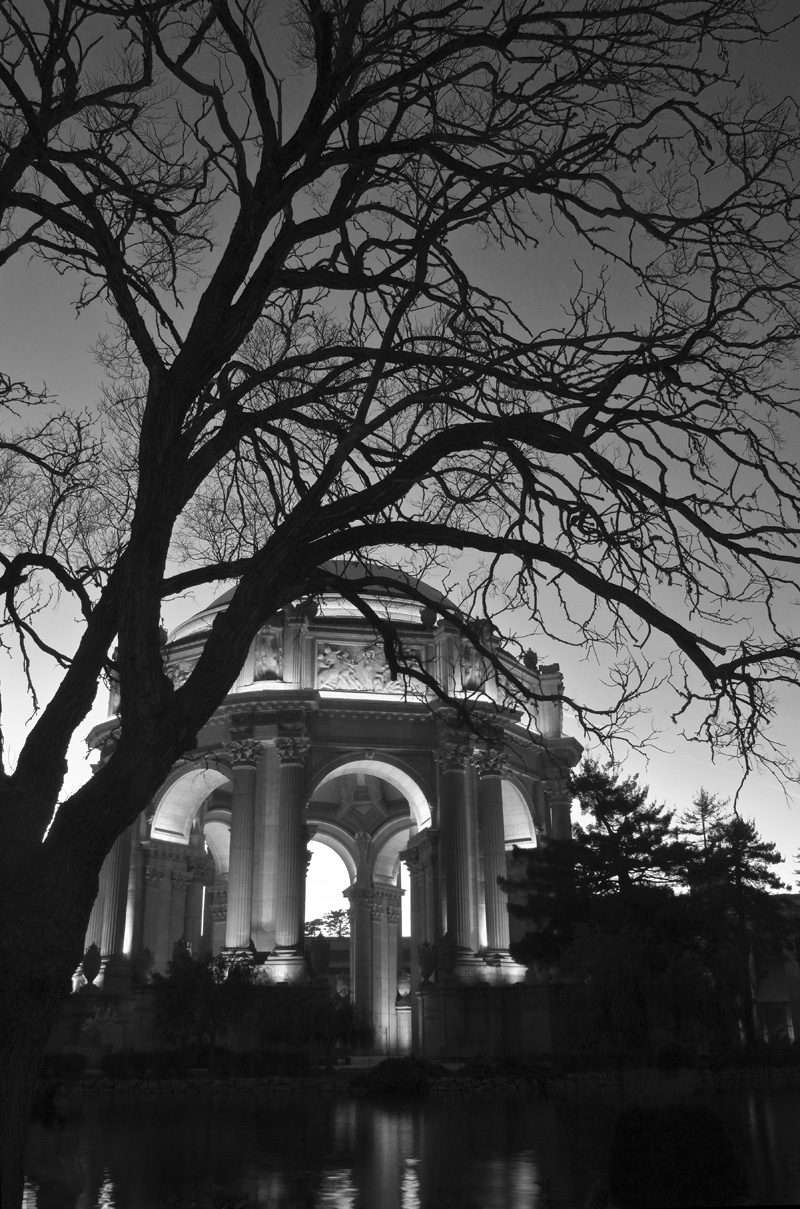 Palace or the Arts View