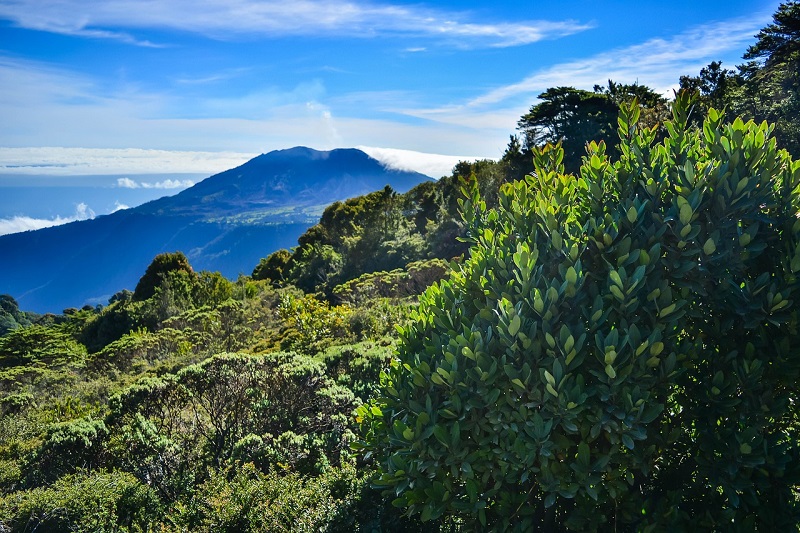 Costa Rica View