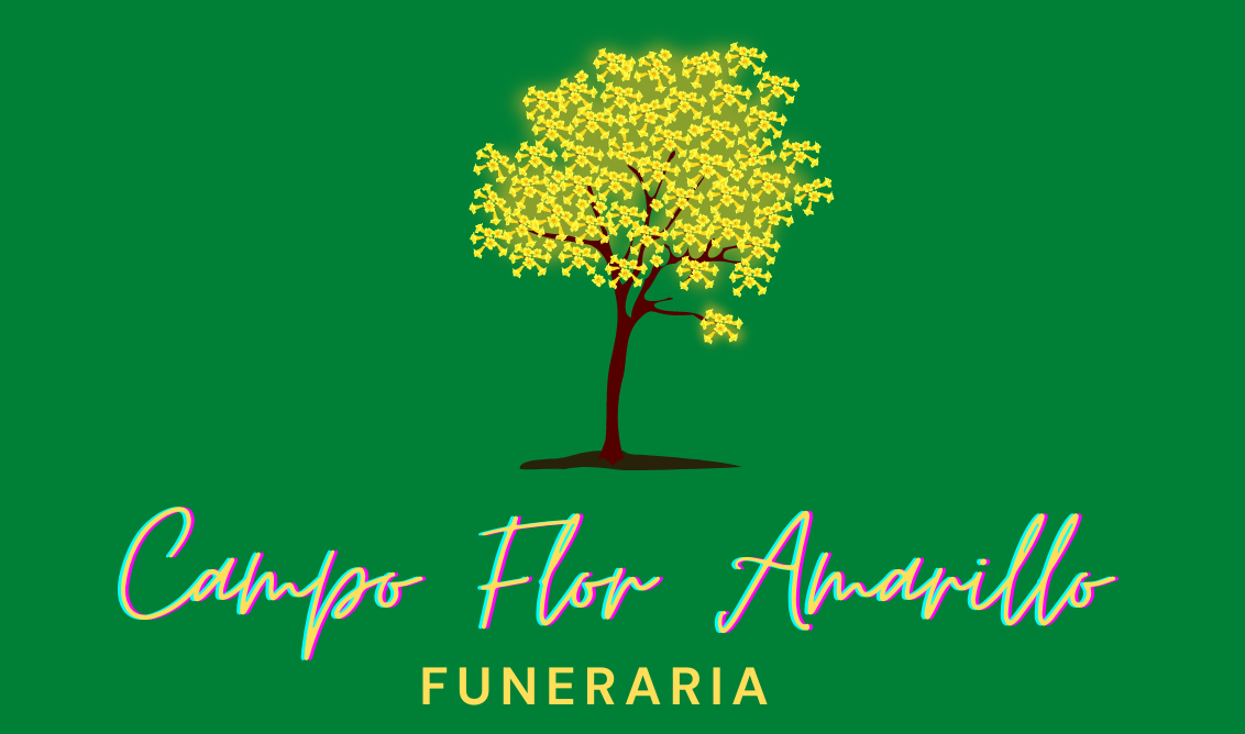 CAMPO FLOR AMARILLO