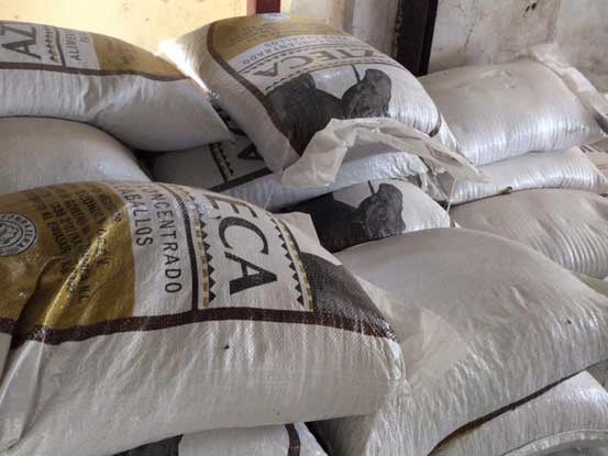 Forrajera y Veterinaria "Ortiz" - ALIMENTO PARA GANADO