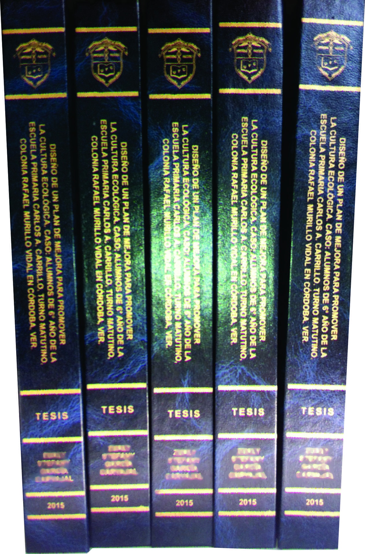 Empastados de Tesis.