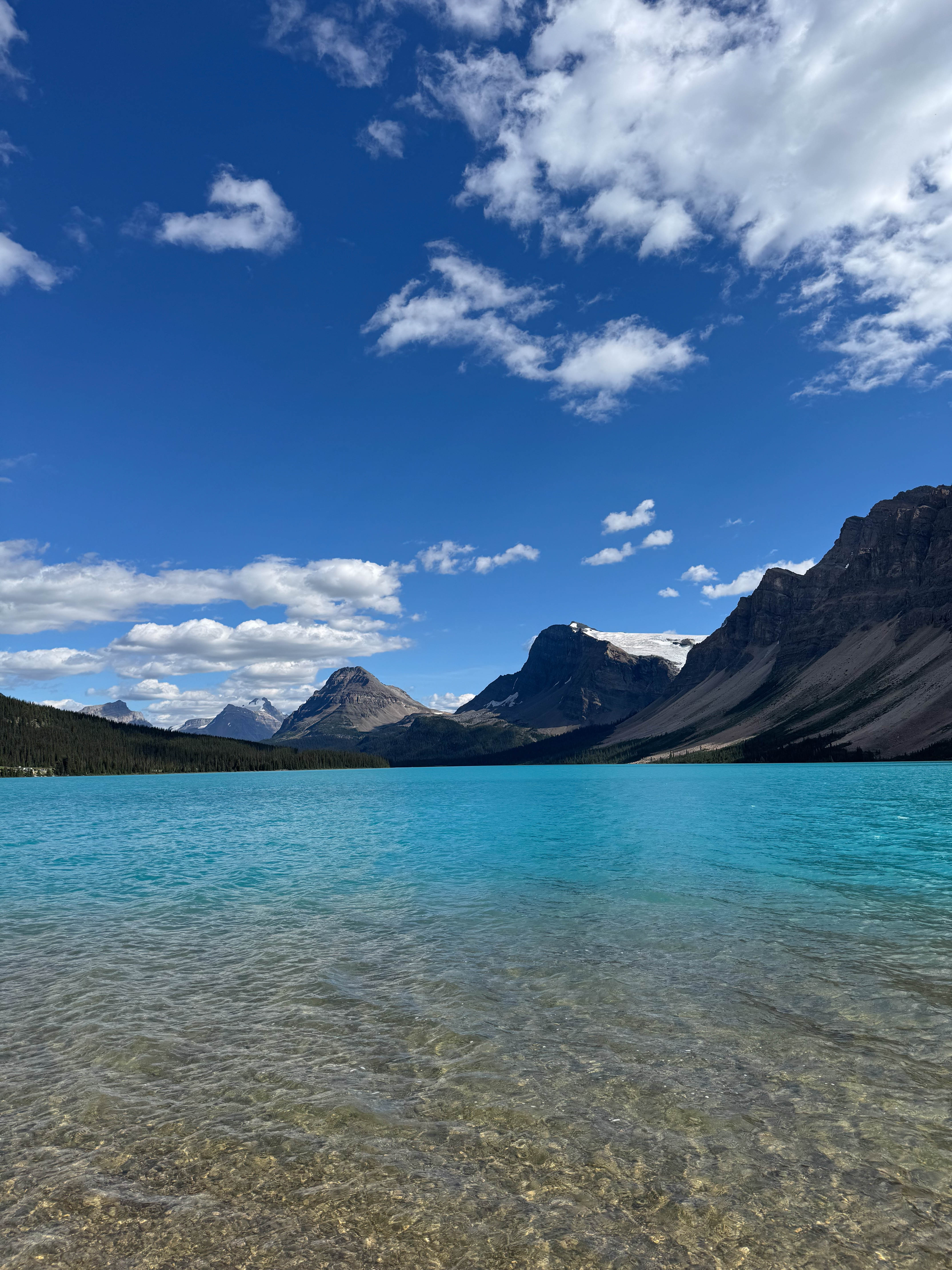 https://0201.nccdn.net/4_2/000/000/04c/a91/calgary-order-226.jpg