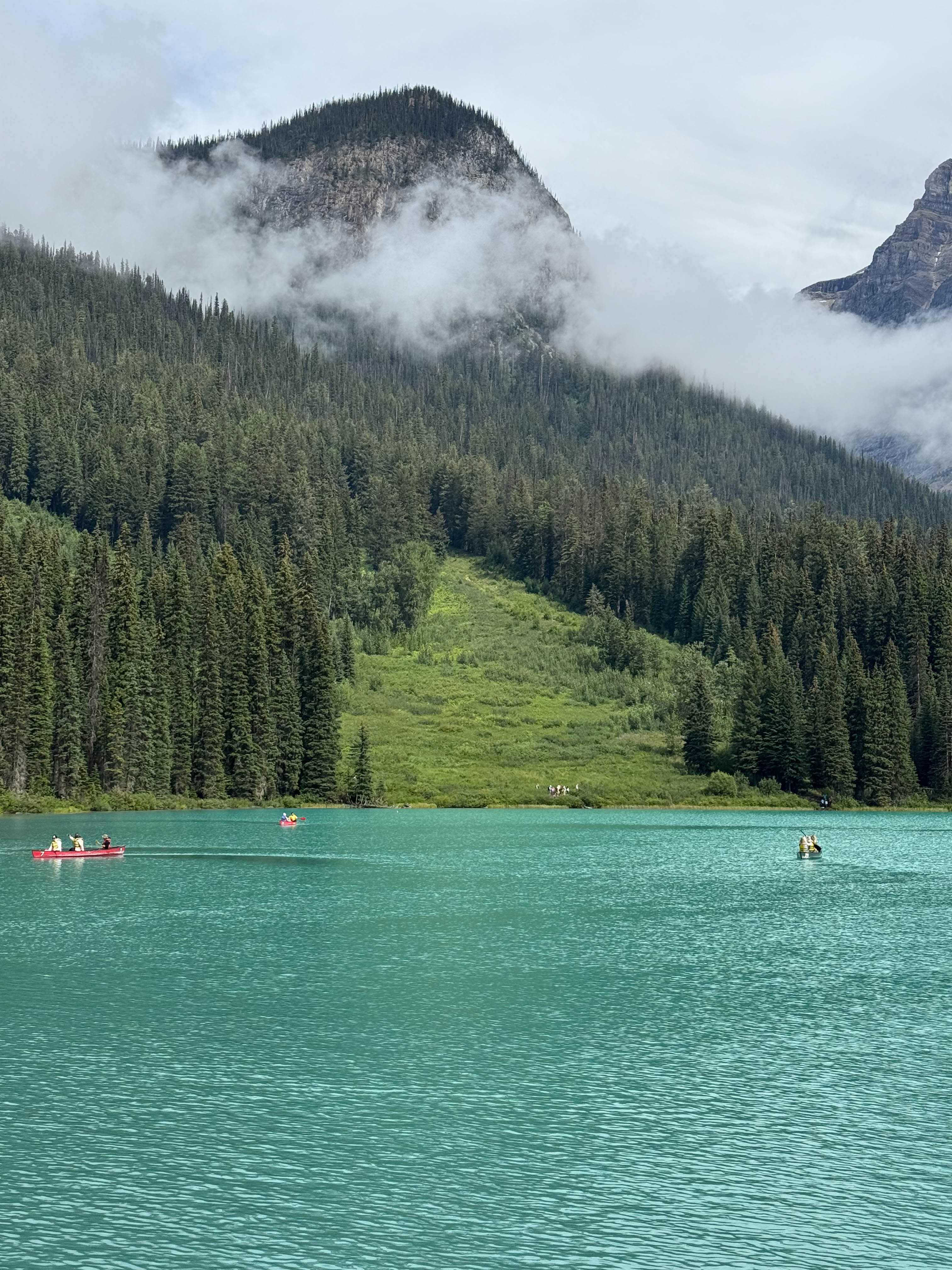https://0201.nccdn.net/4_2/000/000/04c/a91/calgary-order-50.jpg