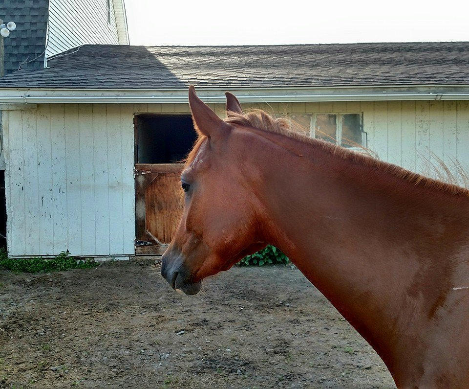 Sonny: Came to Positive Way to be started (after he was "started")