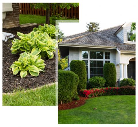 Mulching in Garden and House with Beautiful Lawn