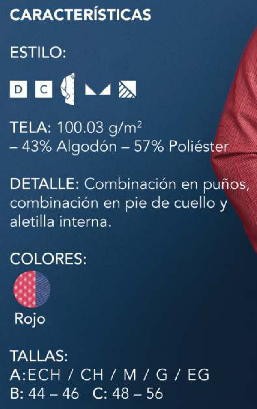 CARACTERISTICAS ESTILO FLORENCIA