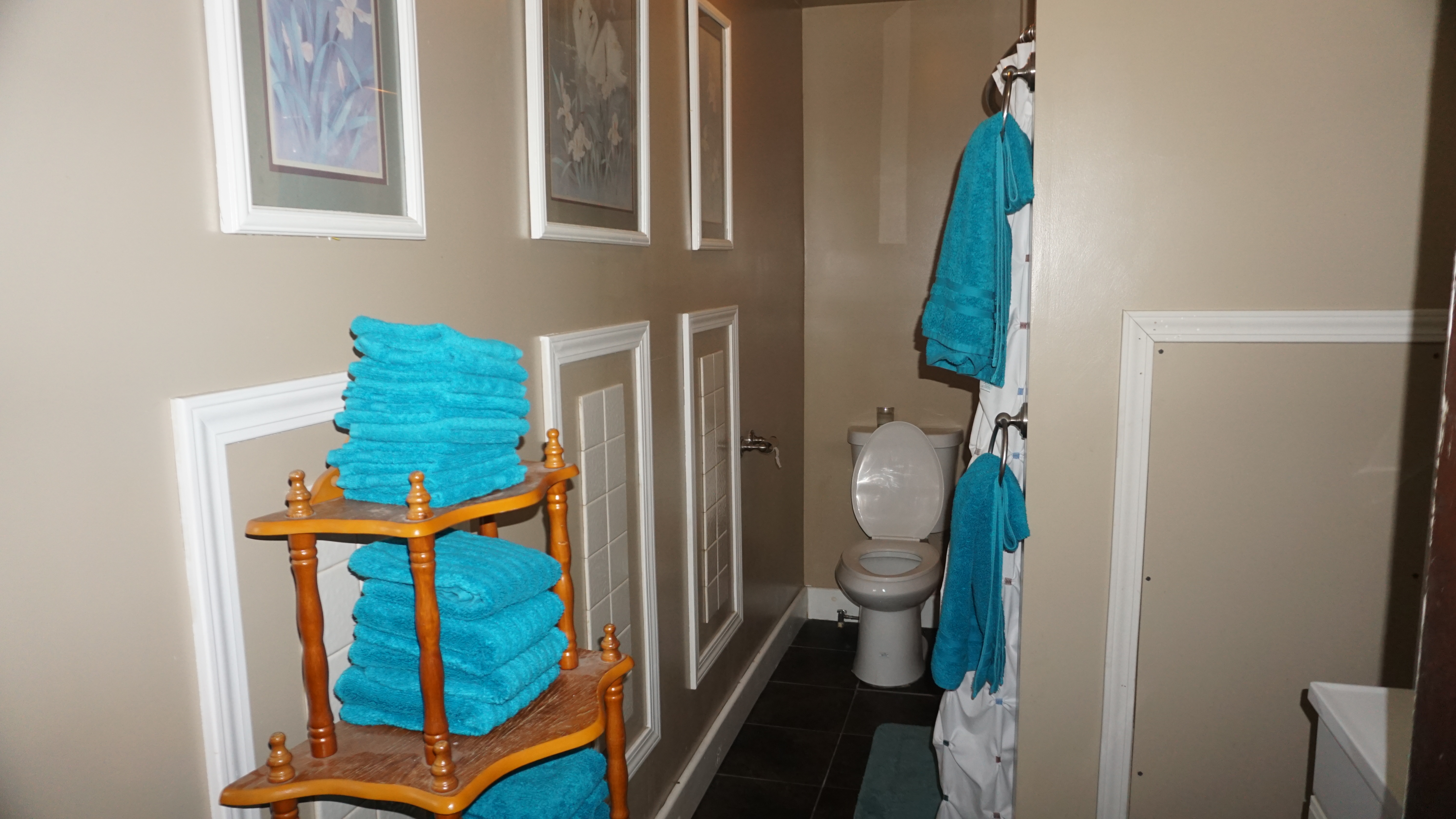 The Shared Bathroom