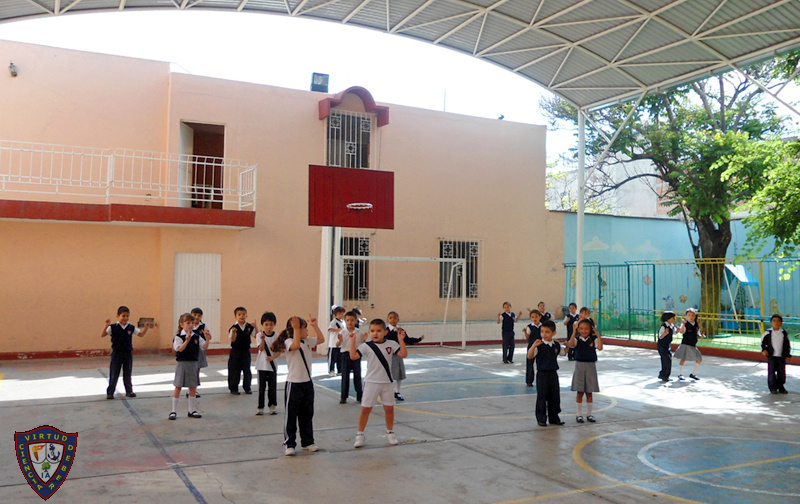 Cancha de Basquetbol