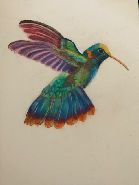 Hummingbird II