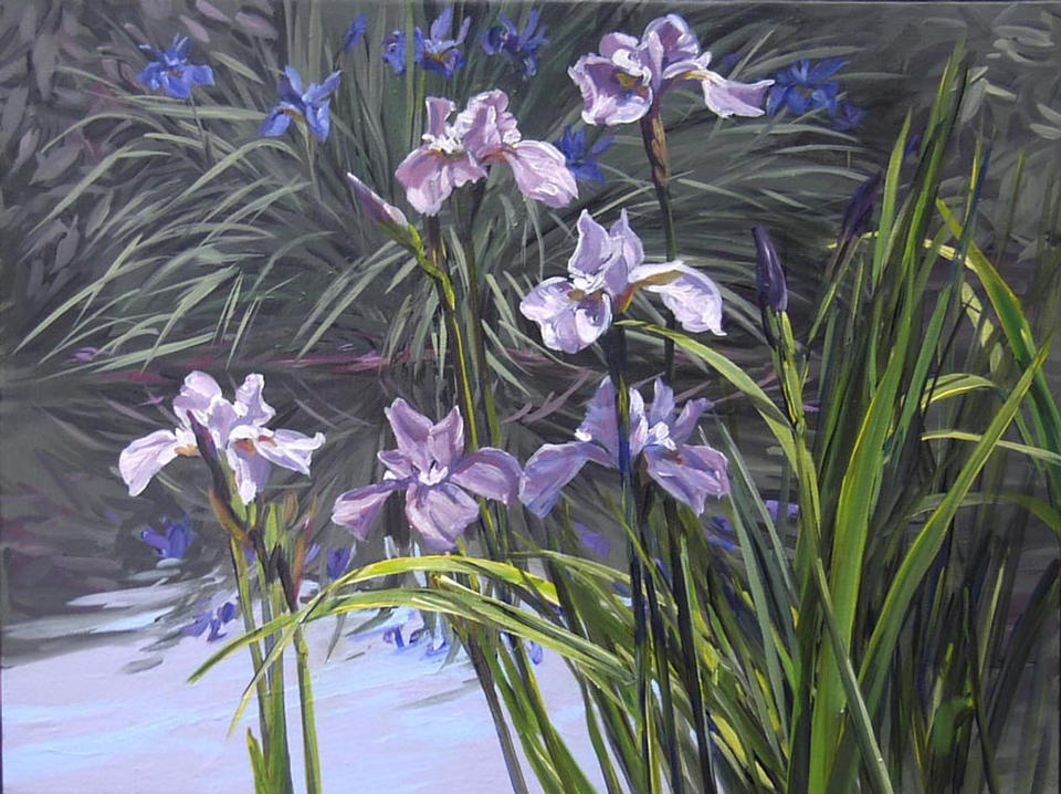 Mauve Iris 18x24 sold