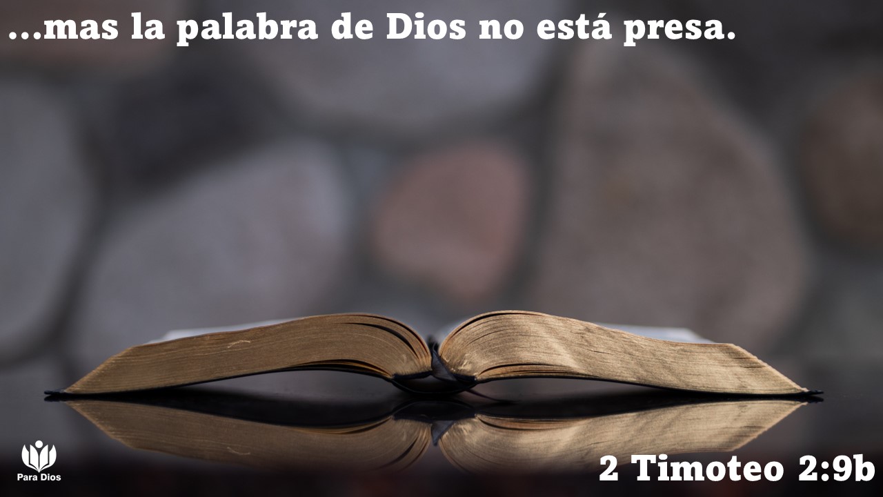 https://0201.nccdn.net/4_2/000/000/04d/add/slide10.jpg
