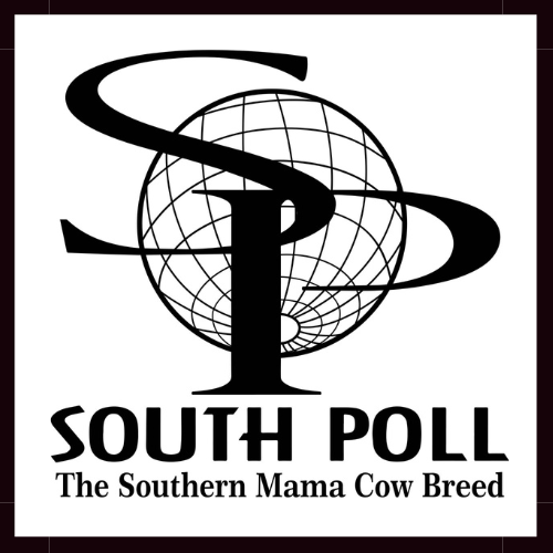 https://0201.nccdn.net/4_2/000/000/04d/add/south-poll-logo-white-background-black-border.png