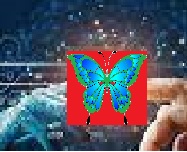 Human-Centric AI Butterfly AI