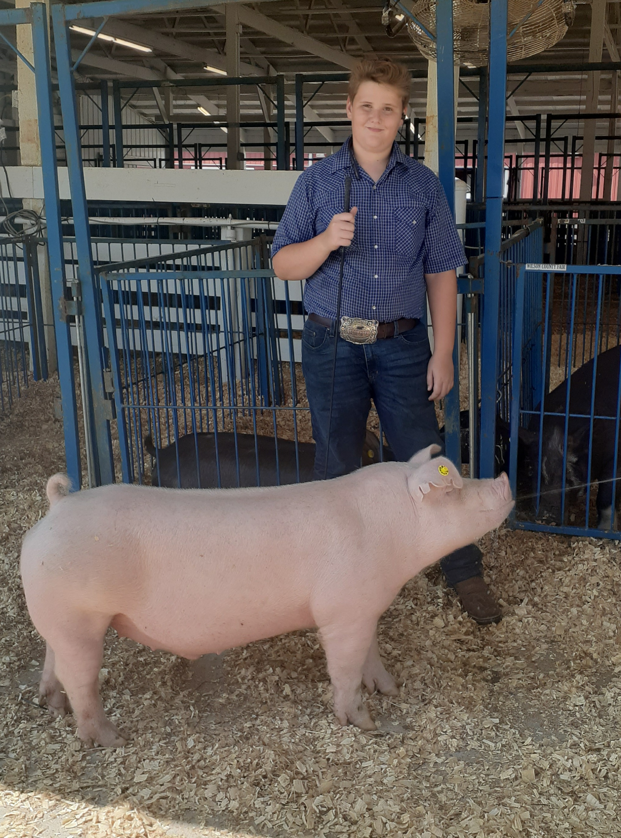 Tylan Lusk
2022 Mid-South Classic
Champion TN Bred 
Chester White Barrow
5th Overall TN Bred Barrow