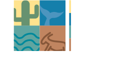 bajatraveloperadora
