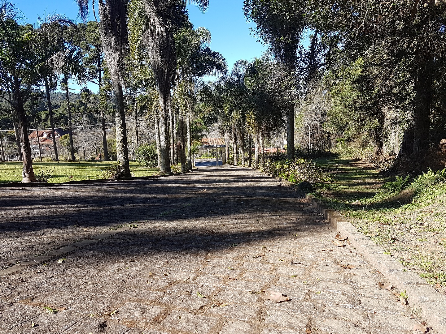 Acesso principal pavimentado