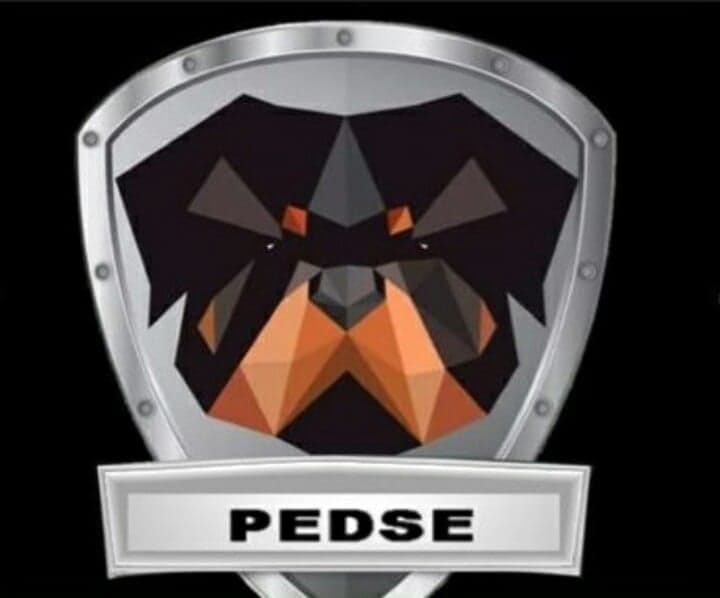 PEDSE S.A. DE C.V.