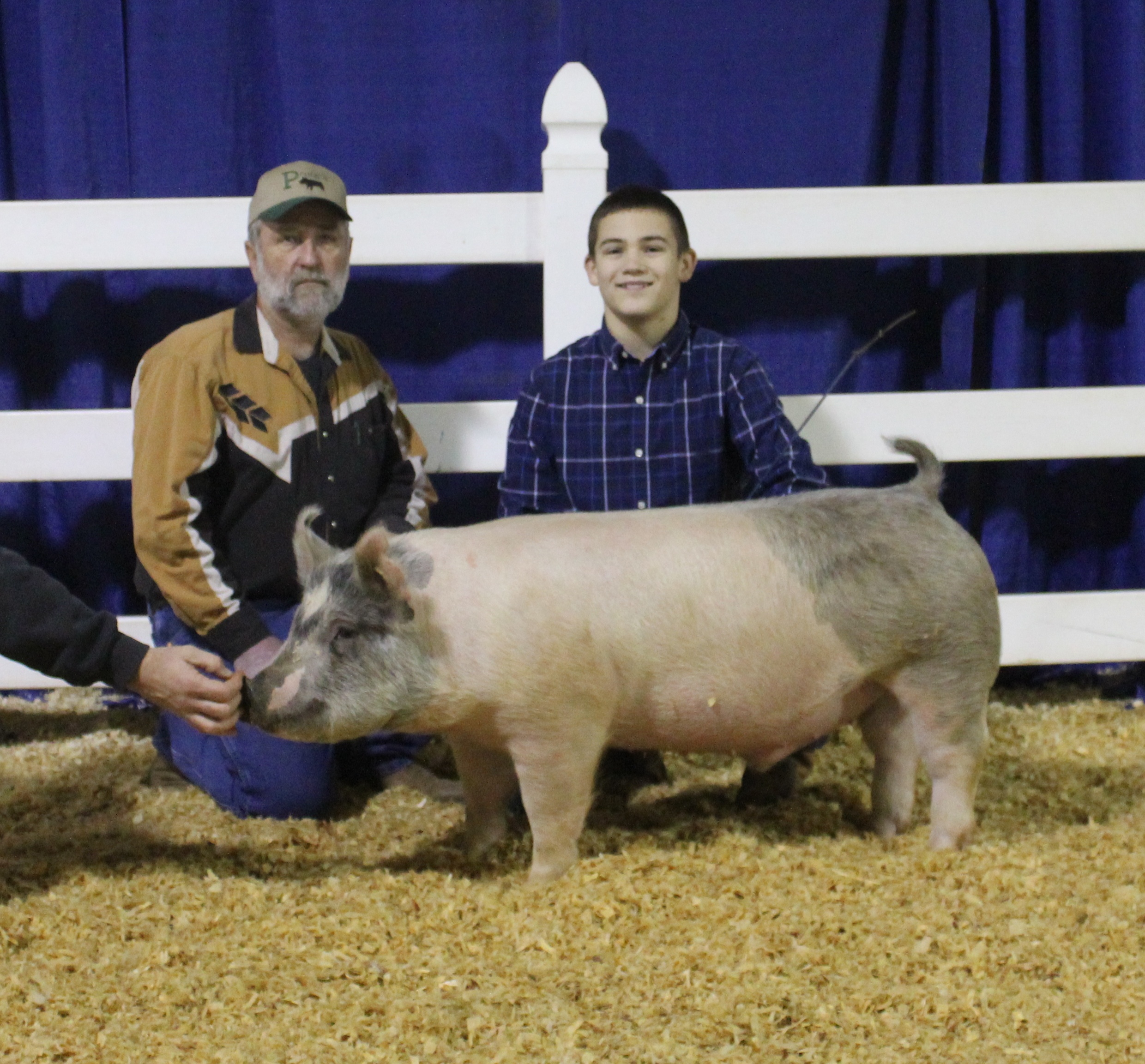 Kalan Lusk
2018 Tennessee State Prospect Show
Class Winner