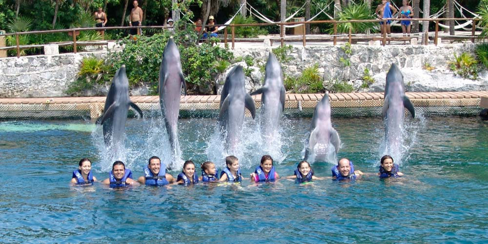 DESCUBRE SU INTELIGENCIA, Y GRACIA