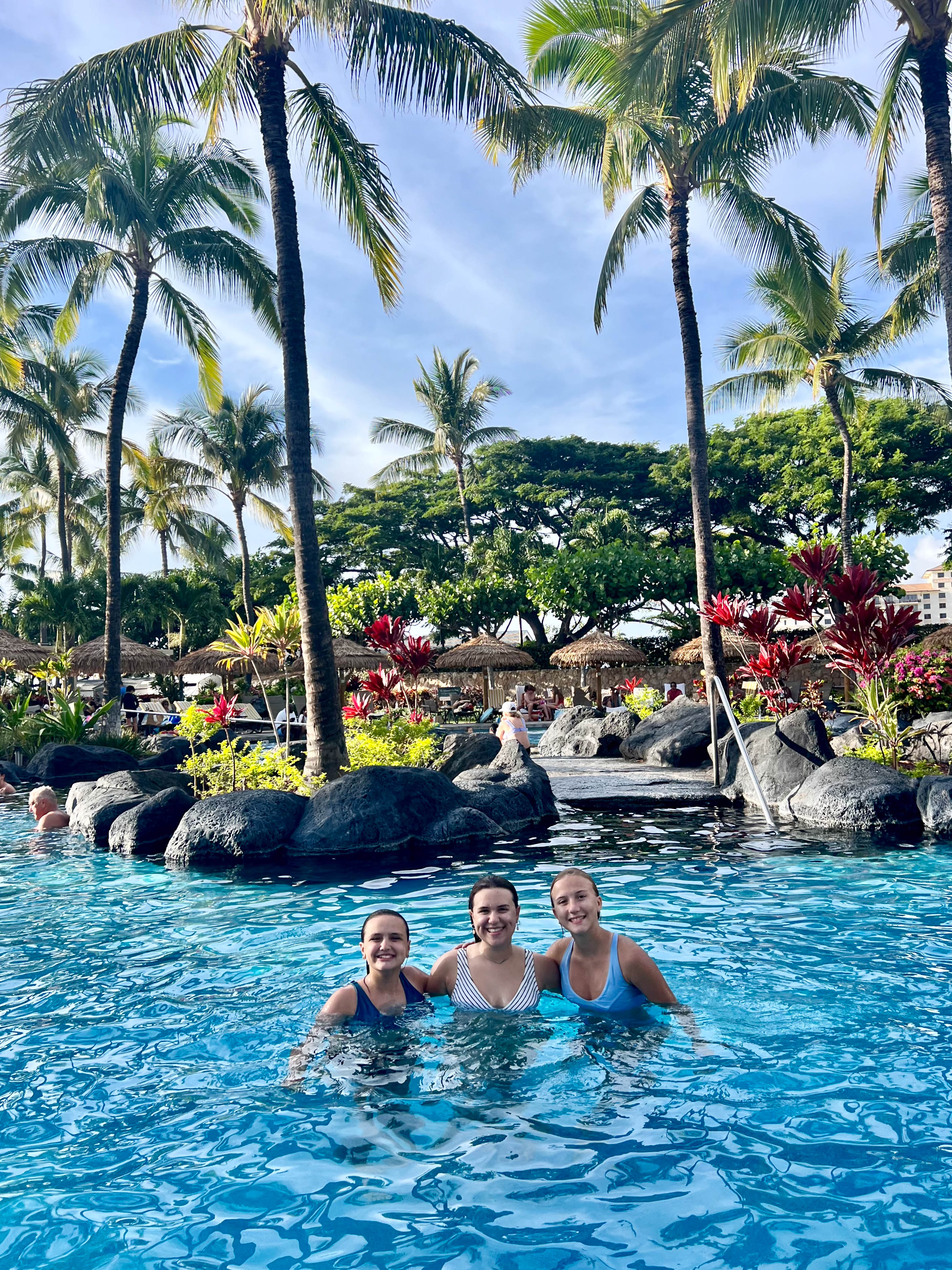 https://0201.nccdn.net/4_2/000/000/050/773/hawaii-order-157.jpg