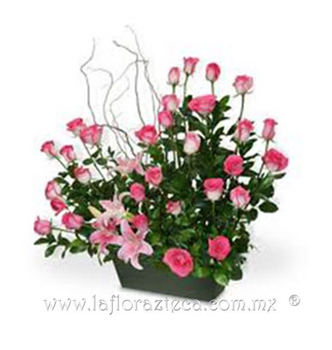 LFA-806
Precio $1160