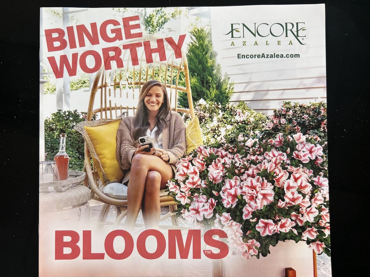 Charming brick house with manicured lawn and vibrant garden under a sunny sky.