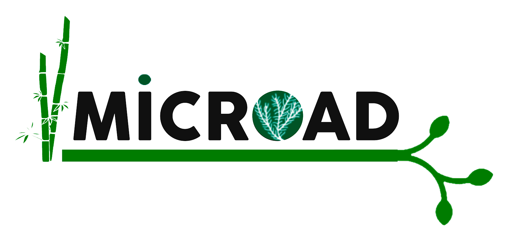 MicroAd