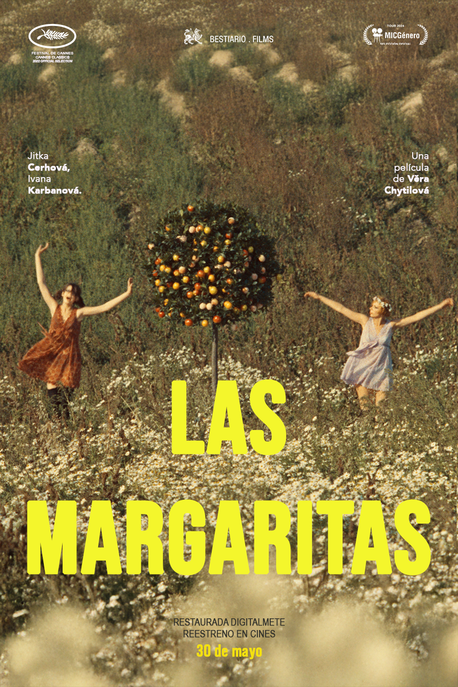 Las Margaritas