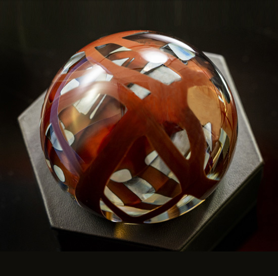 Inspired to show the harmful algal blooms which affect marine life.