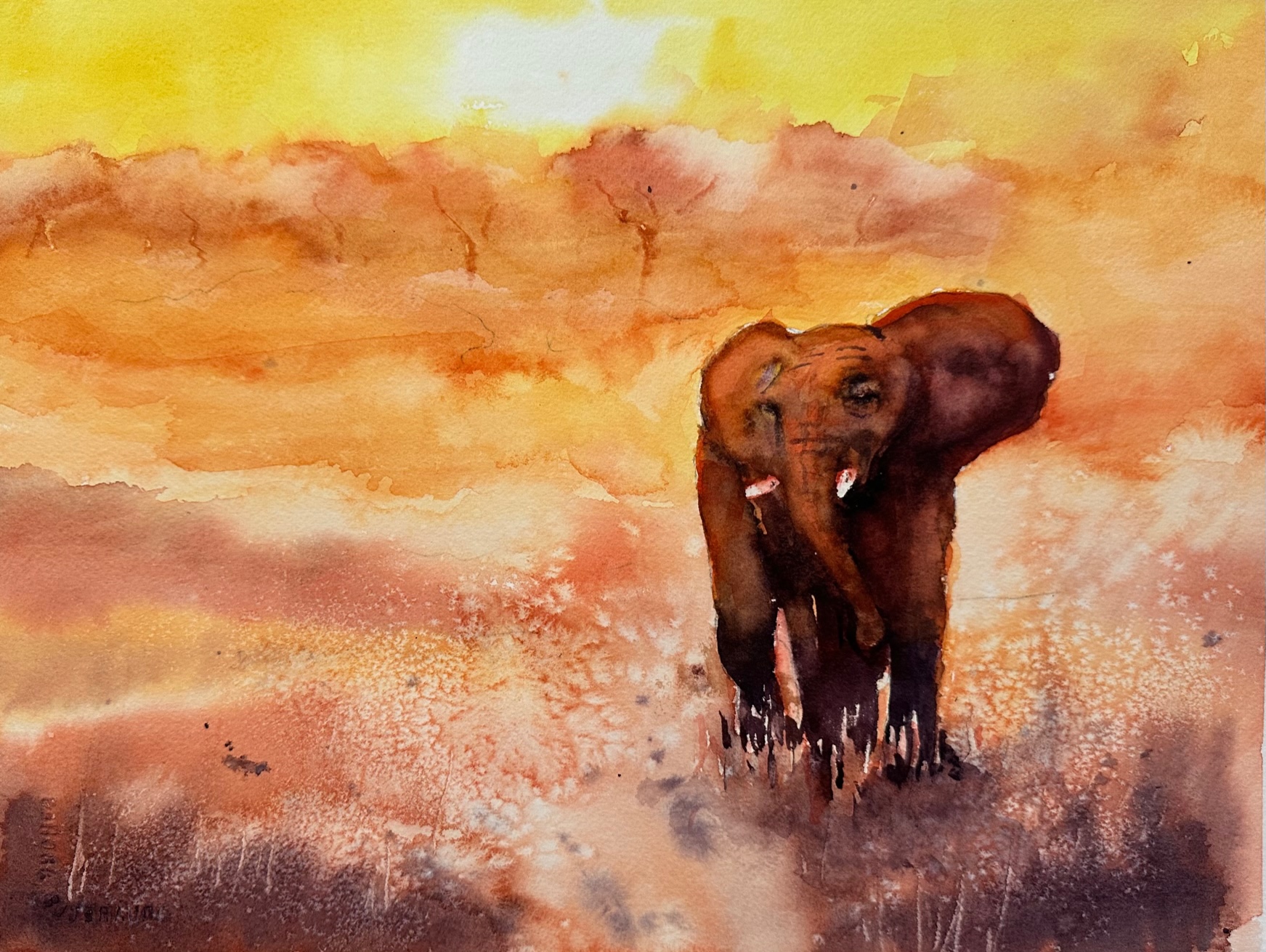 https://0201.nccdn.net/4_2/000/000/050/773/sunsetelephant.jpg