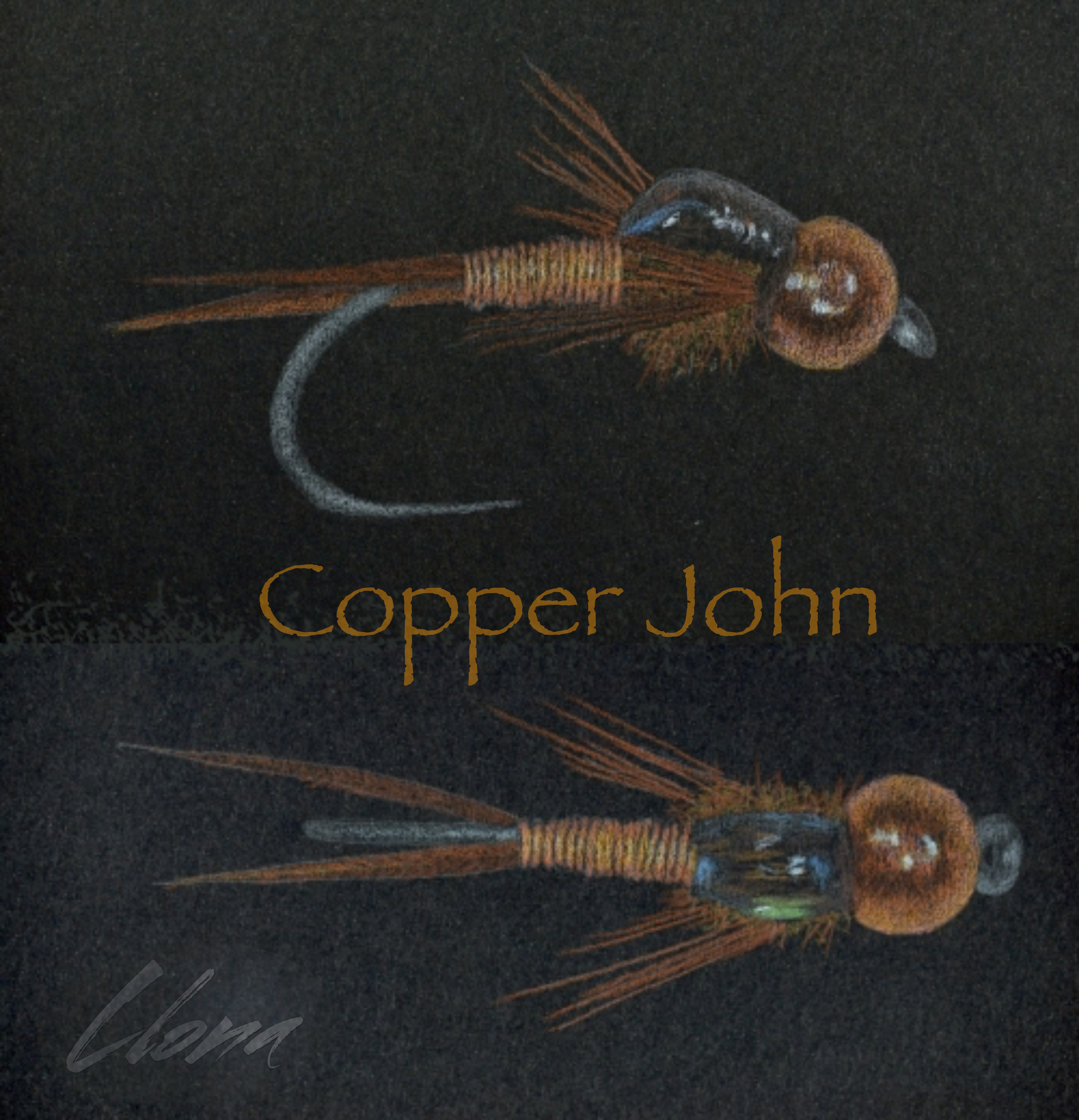 And the Flies Keep on Coning