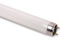 T8/F15W 120V 6.500K                             
T8/F17W 120V 6.500K      
T8/F30W 120V  6.500K 
T8/F32W 120V 6.500K