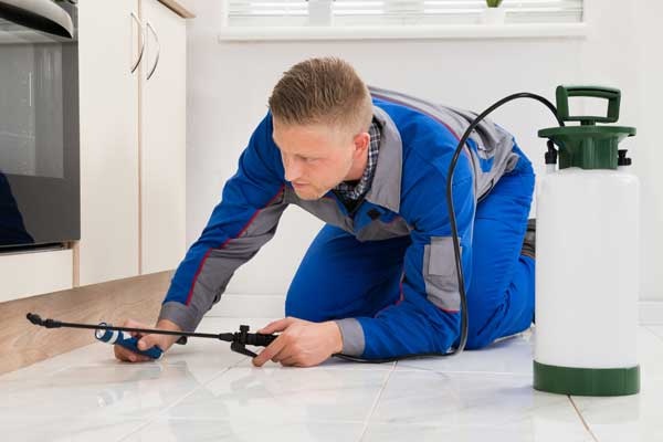 FUMIGACIONES VIT - fumigación