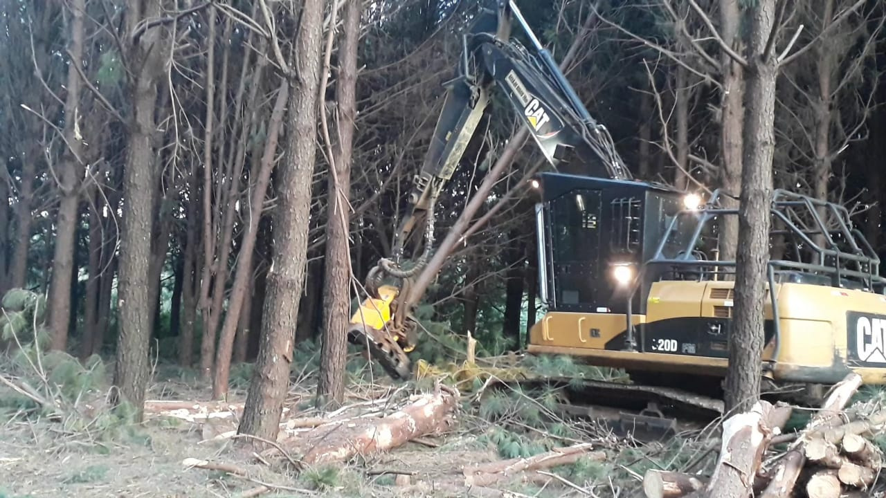 DERRUBADA HAVESTER H8