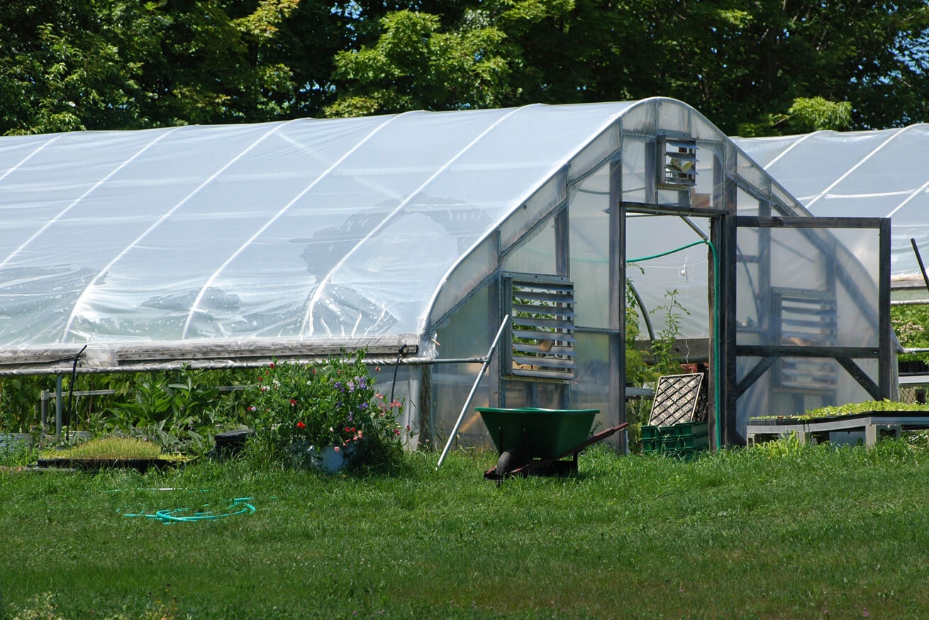 Aupa Mavari - Operación