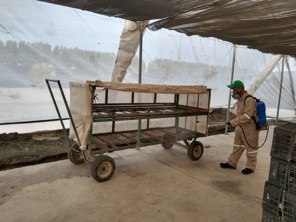 (##AI##(Background.image2.alt)##AI##)