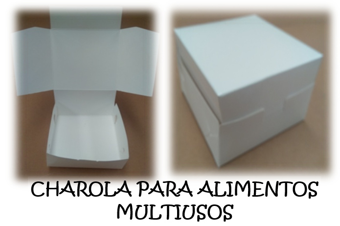 https://0201.nccdn.net/4_2/000/000/051/72c/CHAROLAMULTIUSOS-695x462.jpg
