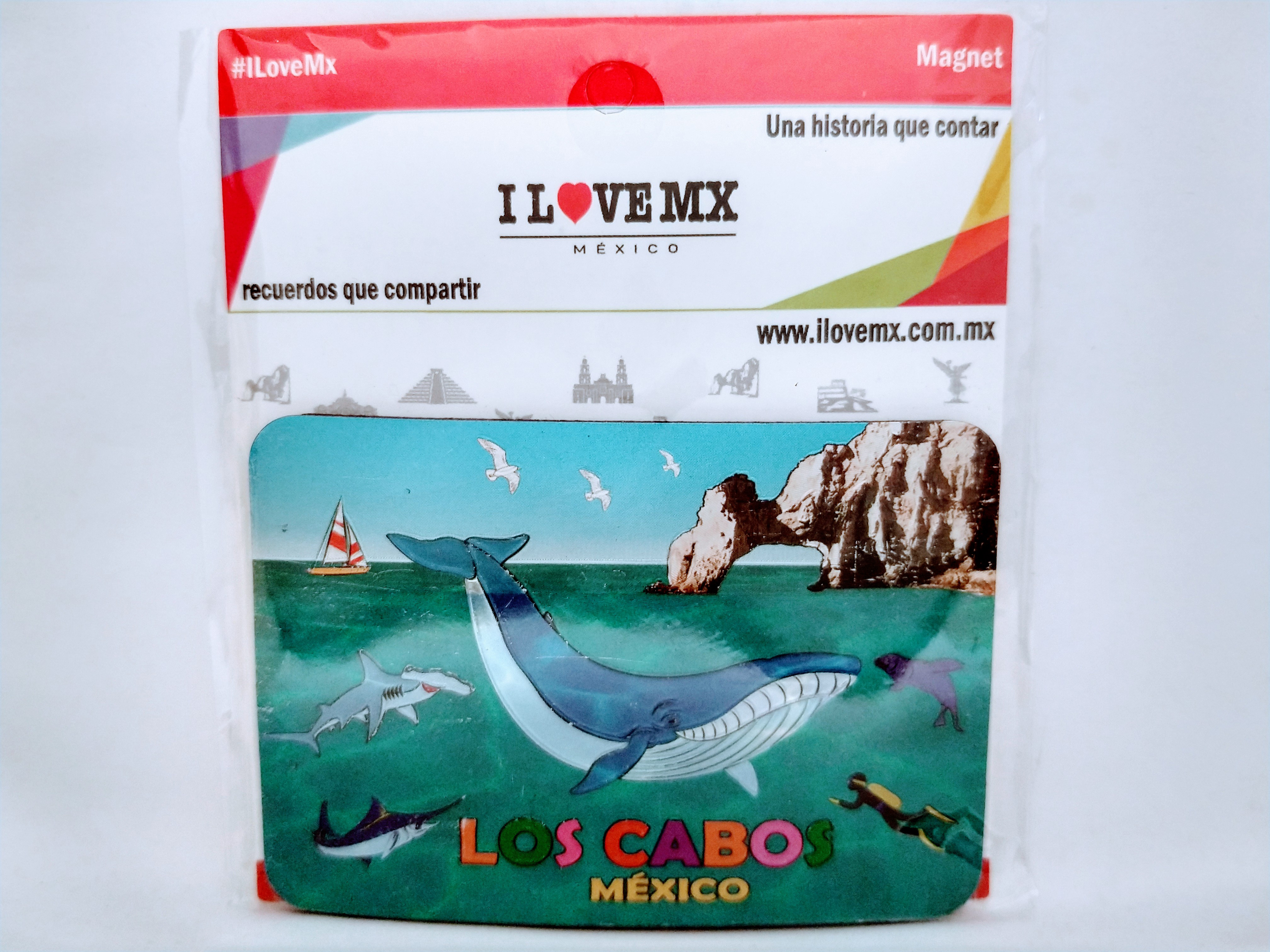 IMÁN METALIZADO LOS CABOS
8cm Ancho
5.6cm Alto