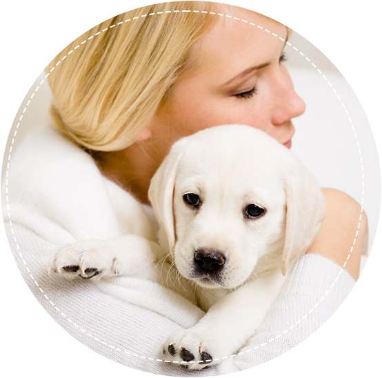 Woman hugging a Labrador puppy