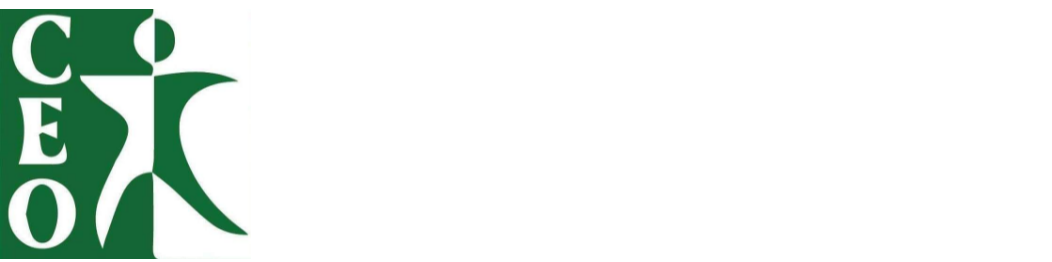 Ceo consultores Empresariales