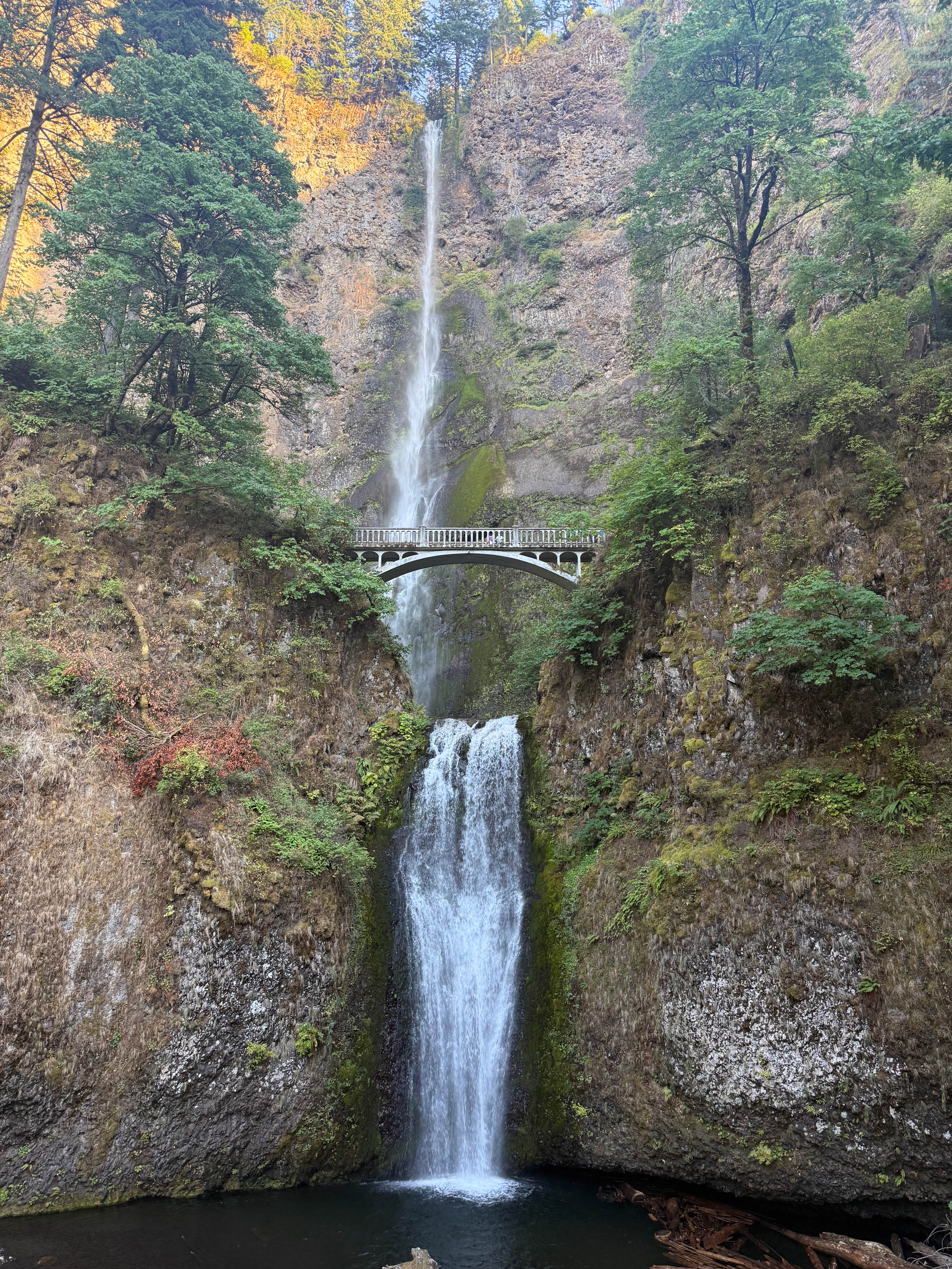 https://0201.nccdn.net/4_2/000/000/051/72c/portland-order-21.jpg