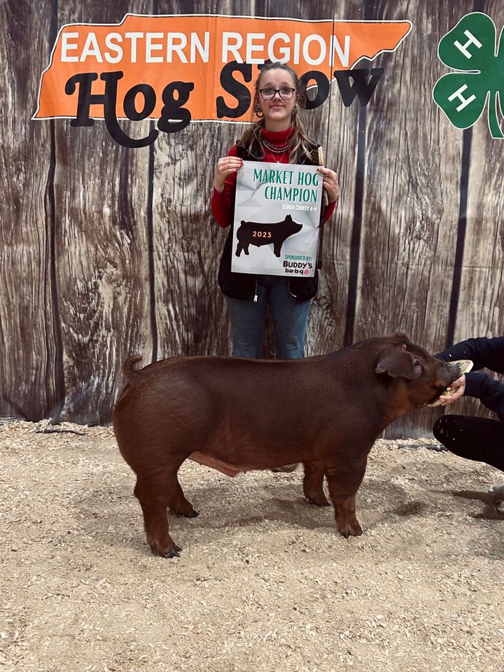 Ivy Johnson
2023 Sevier County 4-H Show
Market Hog Champion