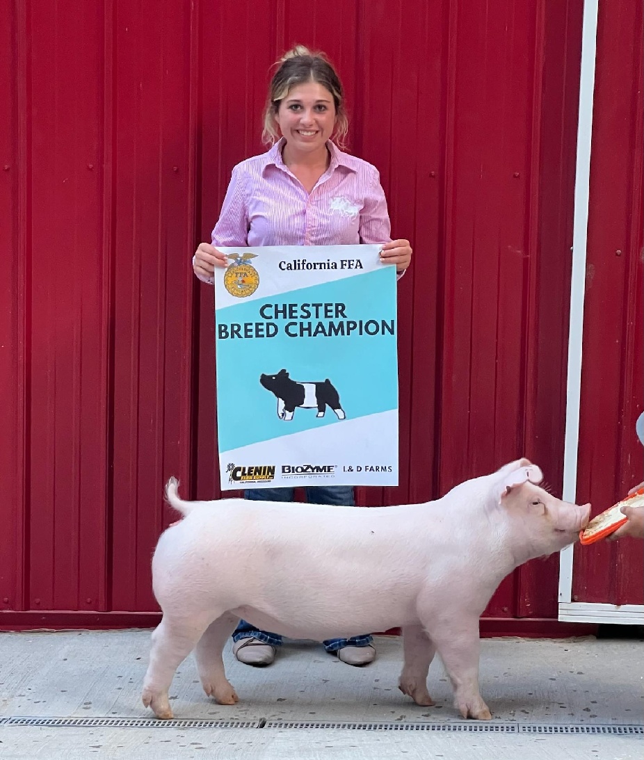 Lena Stricklin
2024 California FFA Jackpot Show
Champion Chester White Gilt
